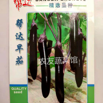 紫茄种子帮达早茄高产抗病耐热耐湿耐寒耐弱光早熟