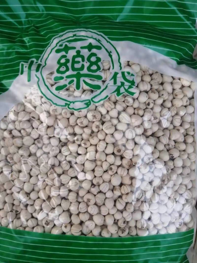 [贝母批发]河北保定安国市贝母 4.50元/克贝母 精品大全 松 _ 一亩田