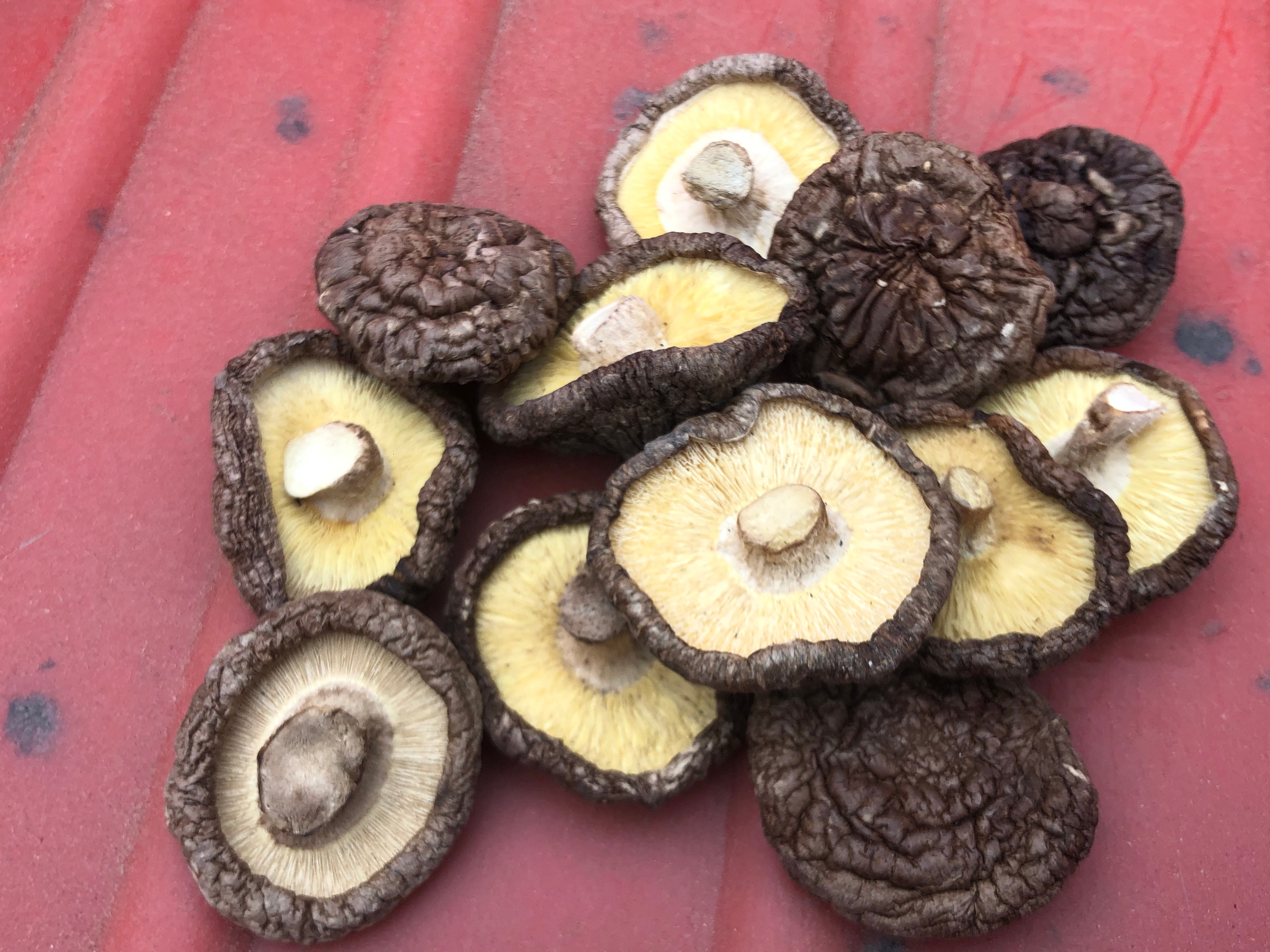 香菇与香芹在锅中翻炒