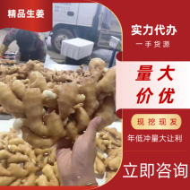 生姜产地直发【一手货源】坏烂包赔全国发货欢迎咨询