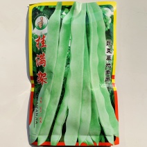 芸豆种子早熟高产抗病纤维少耐老化适应性广商品性好架豆种子