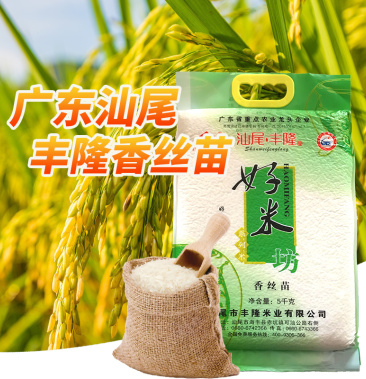 粤农名特广东汕尾丰隆中隆丝苗米粒细长晶莹剔透
