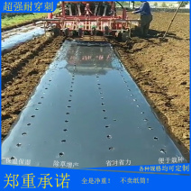 黑色打孔地膜园艺蔬菜用规格齐全厂家直供