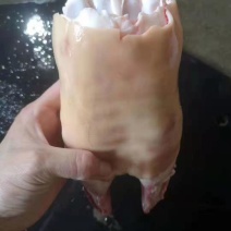 火烧毛牛脚掌。一亩田**