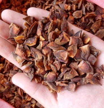 碎八角碎片大红八角,纯片八角片八角碎片八角梗