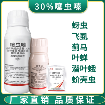 30%噻虫嗪农药杀虫剂桃树甘蓝抗性蚜虫水稻飞虱蓟马蚧壳虫