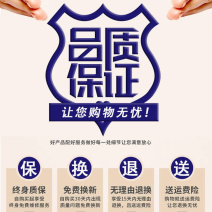 同凯冲击波驱鸟器果园专用赶鸟器太阳能超声波语音驱鸟器包邮