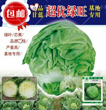 韩国进口超优绿旺甘蓝种子早熟圆球绿色包菜抗病耐裂