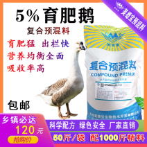 育肥鹅预混料饲料催肥皖西白鹅大三花雁鹅狮头鹅马岗鹅郎德溆