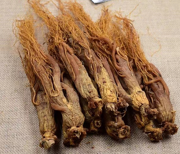 红参市场选购指南信息图