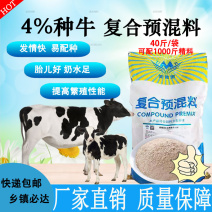 母牛预混料繁殖种牛用饲料助发情多产奶预防产后疾病提高配种