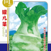 罐儿菜种子