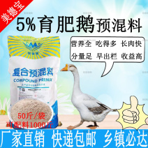 鹅预混料育肥鹅饲料批发长势足个头均匀羽毛光亮整齐育肥猛长