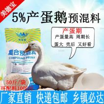 产蛋鹅预混料鹅产蛋期饲料提高产蛋量延长产蛋周期蛋大壳厚分
