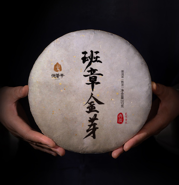 [班章批发]高货普洱2019年勐海班章金芽古树老熟茶357克昆明干仓价格