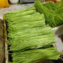 应季芦篙一手货源欢迎联系
