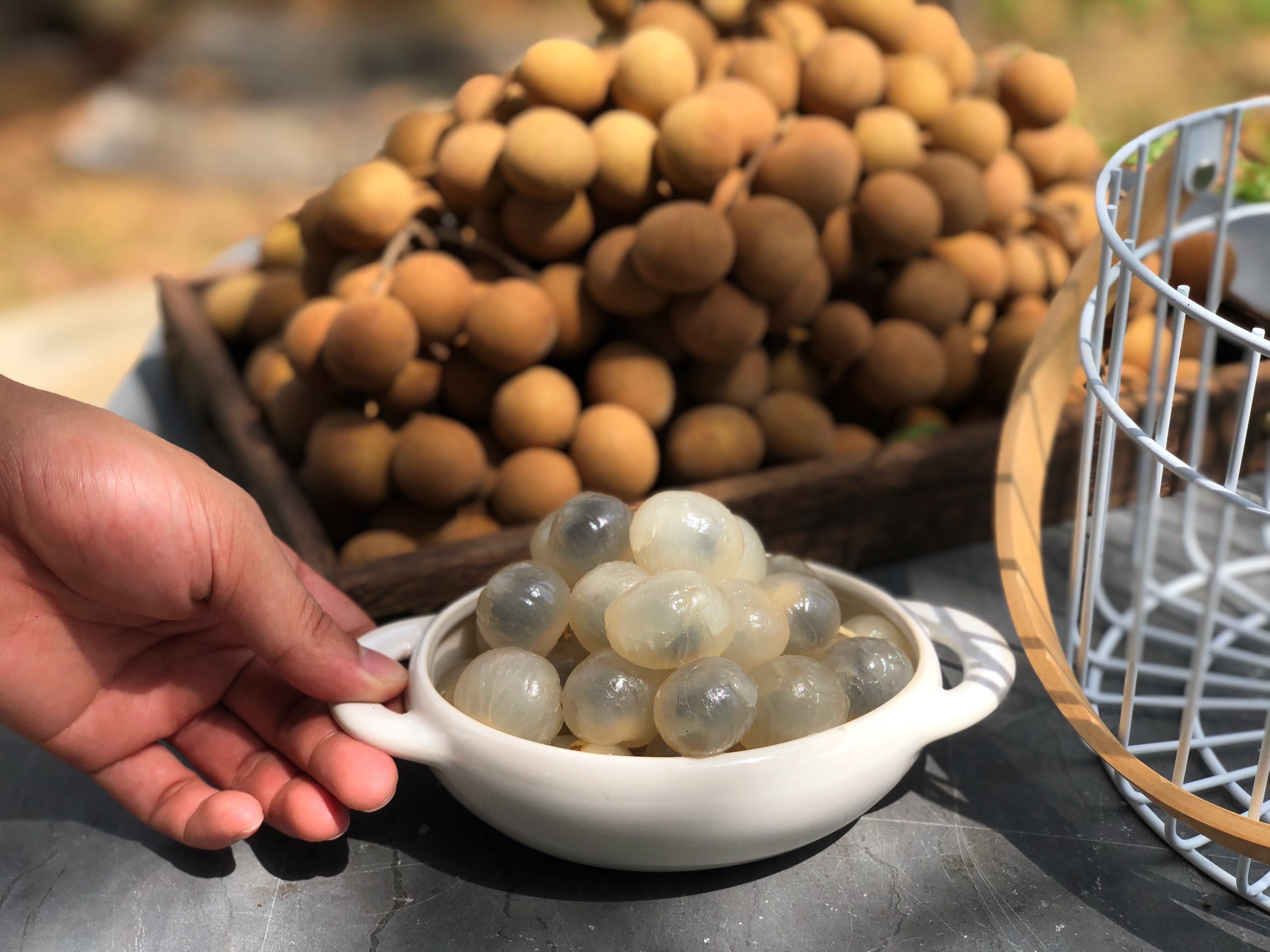 生龙眼创意食谱拼图