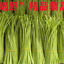 [荐]曦野农业一藜蒿