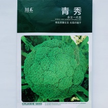 耐寒优秀西兰花种子青花菜种子商品性好花椰菜蔬菜大田用种