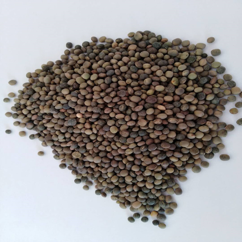 箭舌豌豆麻豌豆白豌豆倒茬绿肥固氮种子量大从优