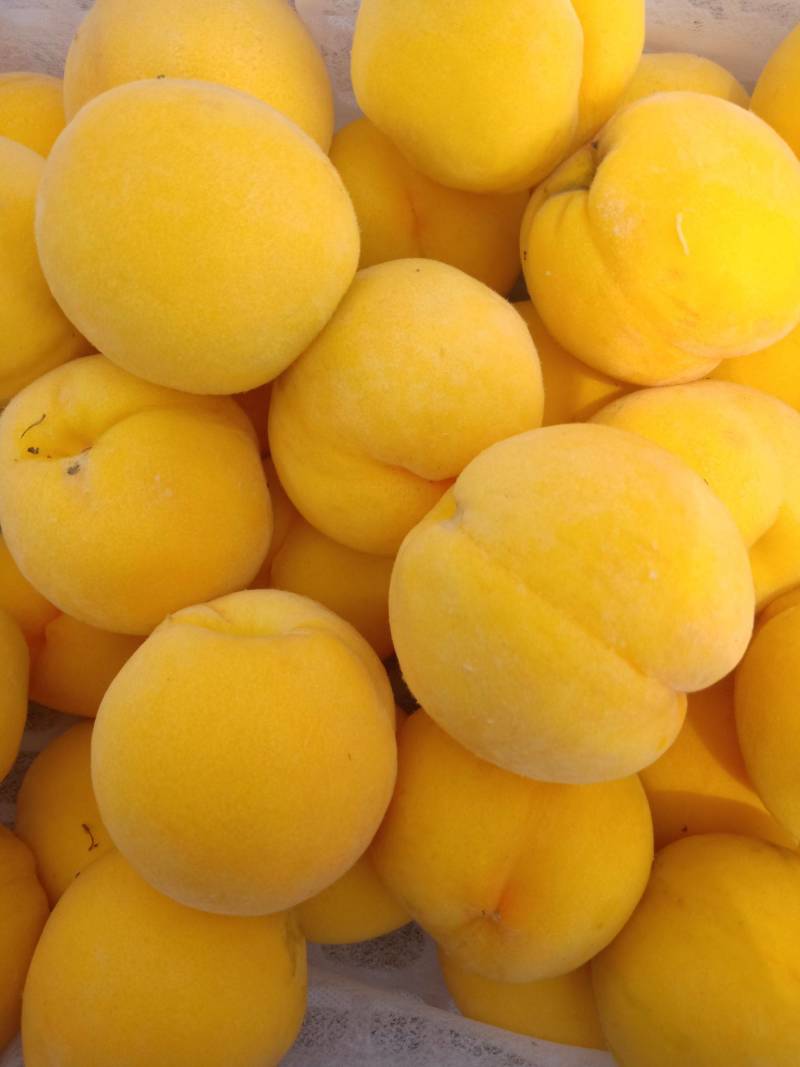 安徽黄金密3号黄金蜜桃,口感脆甜,甜度高,产地直发,信誉保证