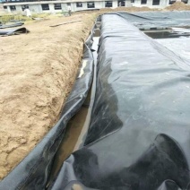 藕池鱼池虾池养殖防渗膜Pe膜水库蓄水池土工膜厂家价格