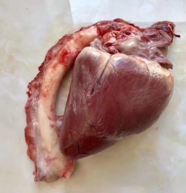 鹿心干鲜鹿心干鹿心可烘干打粉心脏病胸闷等