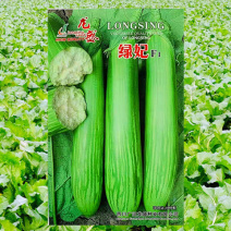 绿茄种子龙盛绿妃绿茄早熟高产抗病耐热湿低温弱光杂交茄
