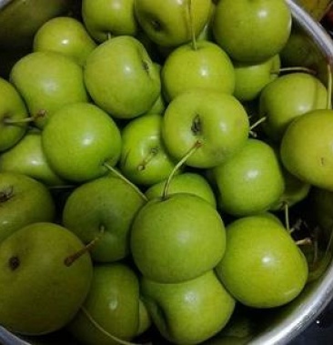 广西荔浦天之源家庭农场供应南方青皮大果山楂 现货供应