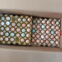 生态散养土鸡蛋/粉绿混装/鸡场供货/破损包赔/诚信经营！