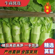 【牛气新货】三青皮莴笋，一手货源质量保证代发全国电商采购