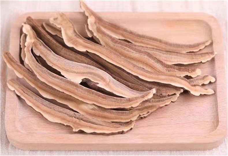 灵芝切片与中药材搭配图