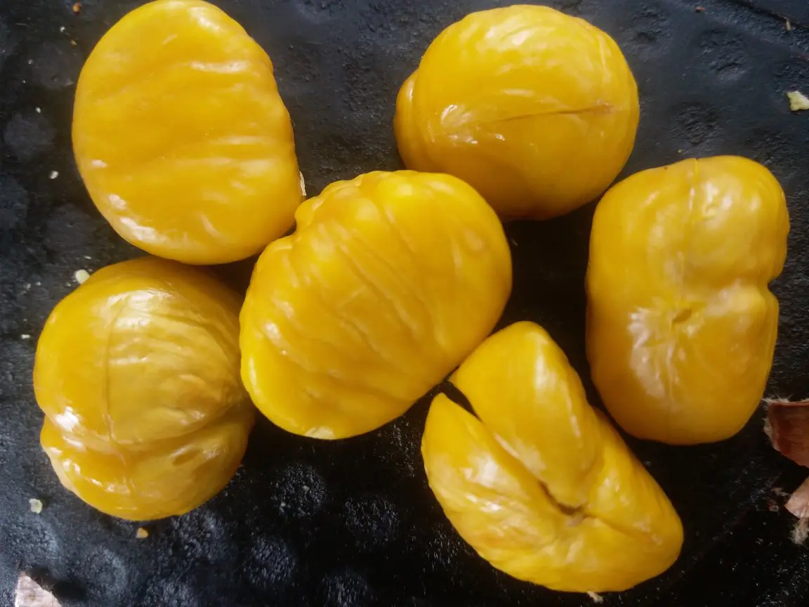 莒南油栗仁加工车间场景