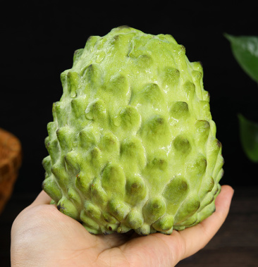 释迦果凤梨牛奶释迦果毛荔枝摩尼释迦大果一件代发