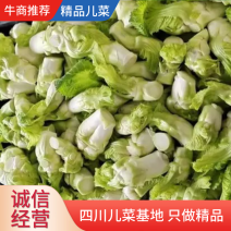 四川精品儿菜，手工挑选，市场商超直供货量充足品质优先