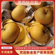 莱西秋月梨，果子皮薄，甜脆汁多，无渣，欢迎下单咨询发货
