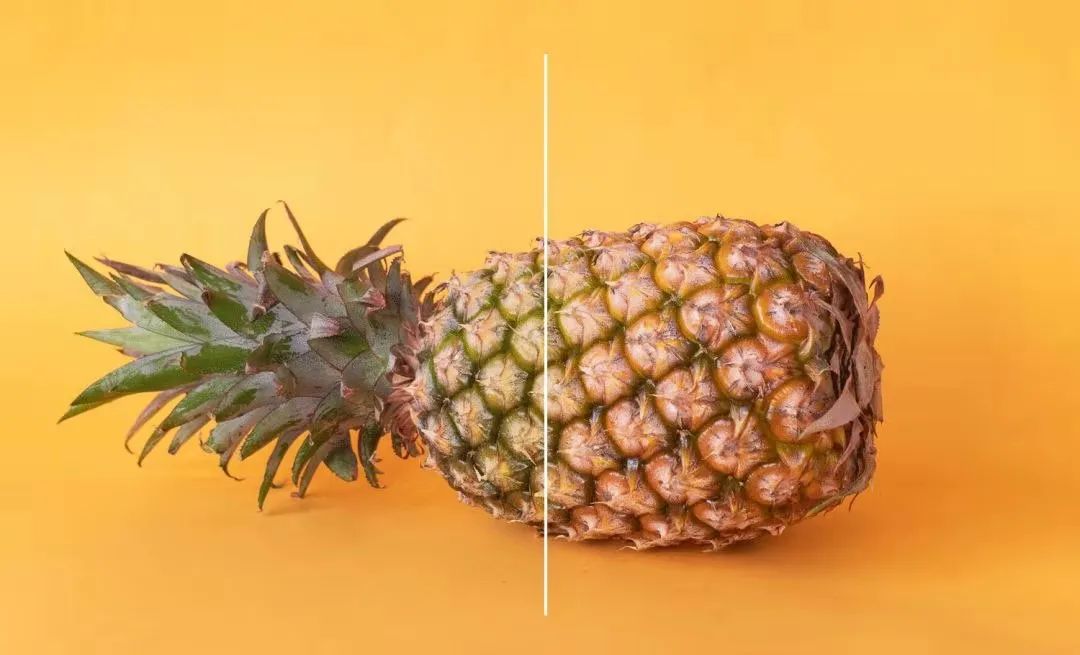 凤梨品种对比图