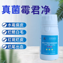 鱼水霉病身上长白毛水霉病鱼腐皮烂鳃霉菌怎么解决水产养殖