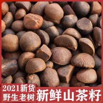 油茶籽山茶油茶籽产地直发，量大价优，质量保证