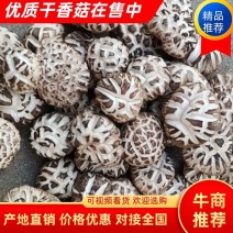 干香菇泌阳基地直供产区货源全国发货量大可惠欢迎咨询