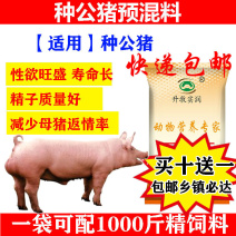 种猪预混料种猪饲料种猪饲料种公猪用预混料提高精液质量补充