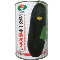 冬瓜种子黑皮大冬瓜种子早熟肉厚芽率高基地品种