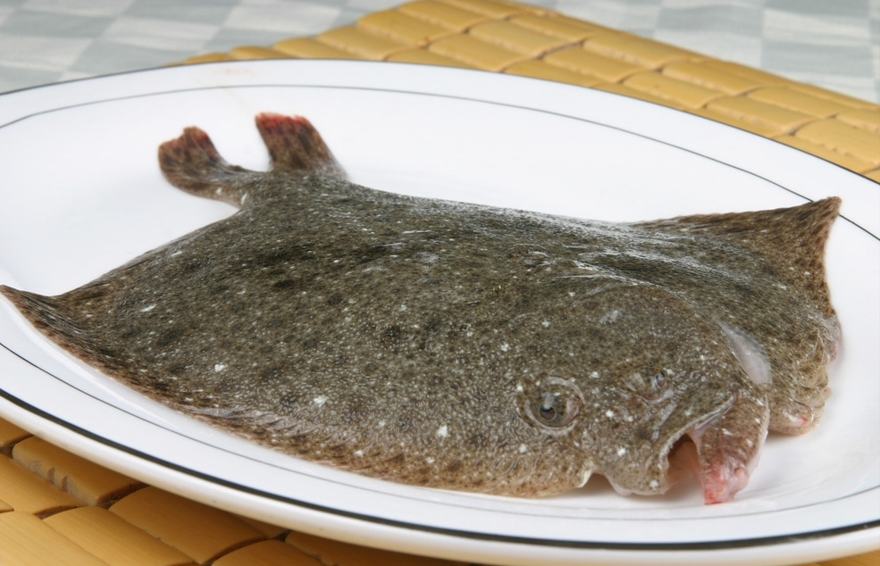 一条完整的鲜活多宝鱼放置在白色瓷盘中,旁边摆放着切好的鱼片,背景为浅蓝色厨房台面,光线自然明亮,突出鱼体银灰色带斑点的皮肤和洁白细腻的鱼肉 多宝鱼整鱼及切片展示