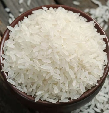 [籼米批发]晚籼米五谷丰登大米食堂宾馆用长粒香米货源充足价格70.