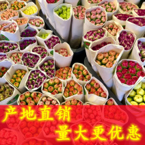 云南产地直发康乃馨鲜花母亲节鲜花基地发货