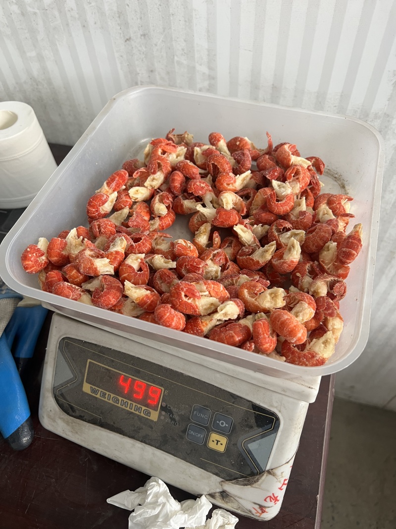 无冰衣单冻干冻小龙虾尾特级一级二级三级次品厂家直销