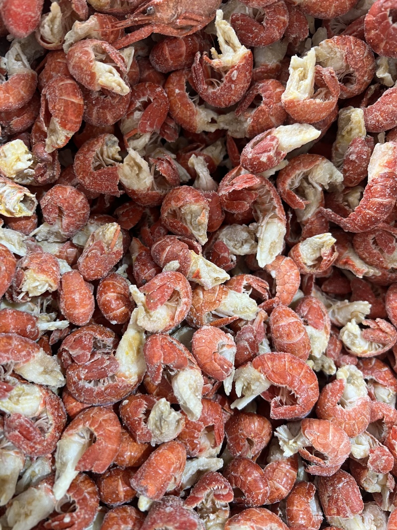 无冰衣单冻干冻小龙虾尾特级一级二级三级次品厂家直销