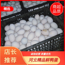 河北鸭蛋新鲜供应一手货源厂家直销保质保量欢迎咨询选购