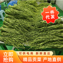 云南贡菜精选小包装100克9.9包邮，一家4人吃两餐的量