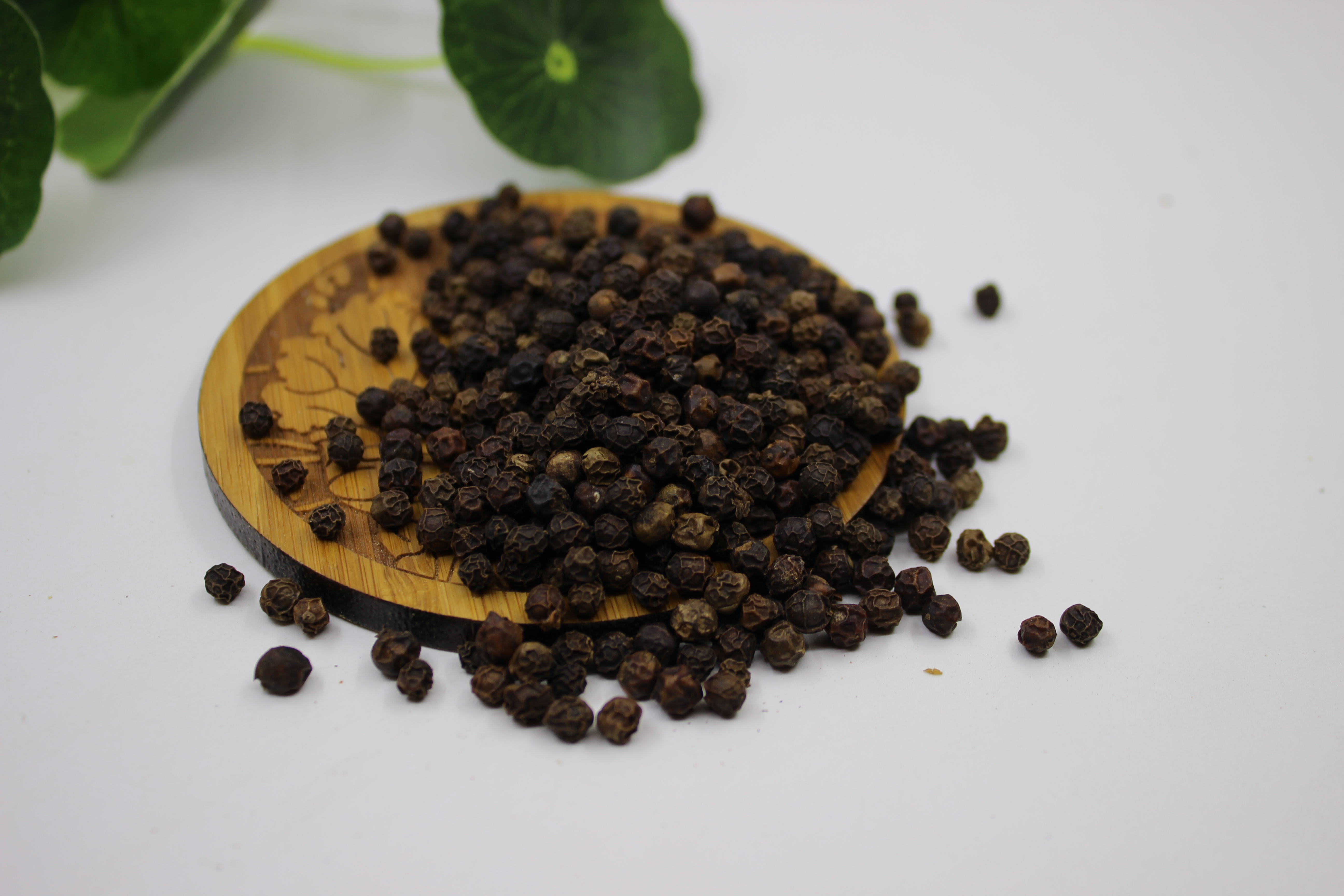 胡椒果实与根部对比图